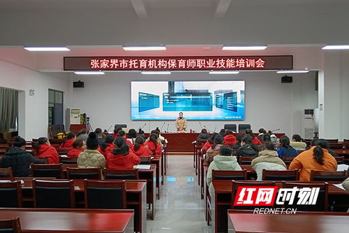 張家界市托育機(jī)構(gòu)保育師職業(yè)技能培訓(xùn)助力家政服務(wù)專業(yè)化發(fā)展