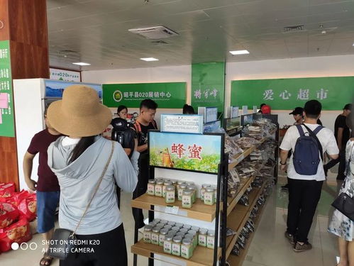 走進名茶之鄉 走出脫貧致富之路——聚焦賀州茶旅產業與日用百貨銷售的融合發展